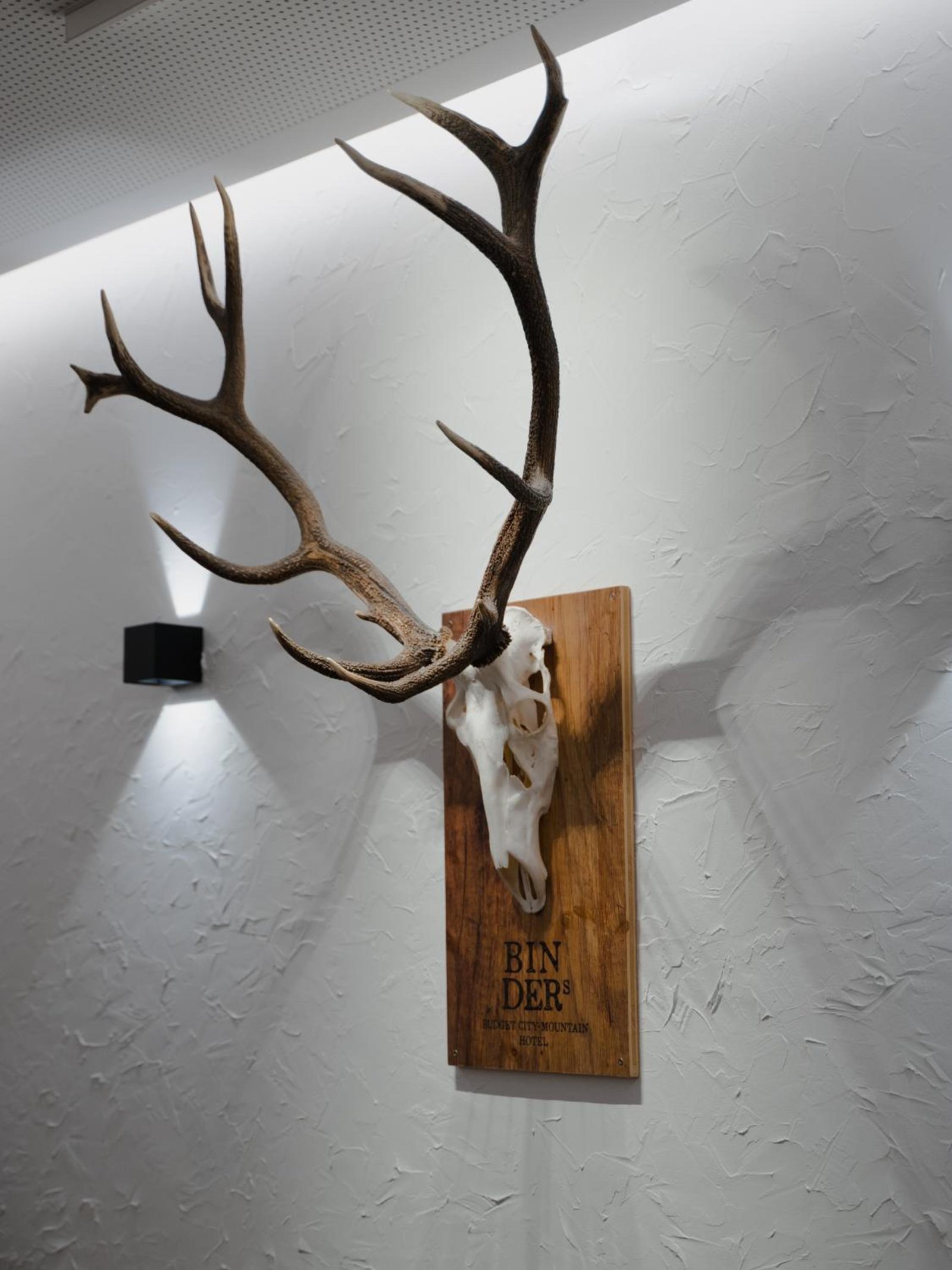 BinderS Budget City-Mountain Hotel — photo 7